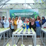IMG 20250513 WA0001 Kilang Cilacap Berdayakan Kelompok Wanita Tani Maos Lewat Budidaya Hidroponik