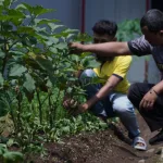 IMG 20250513 WA0004 Warga Binaan Rutan Banjarnegara Dilatih Pertanian Lahan Kering