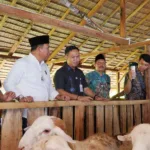 IMG 20250519 WA0001 Bupati Cilacap Resmikan Fakultas Rukun Ternak, Targetkan Jadi Pusat Daging Nasional