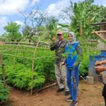 IMG 20250520 WA0003 Desa Keleng Cilacap Jadi Contoh Pengembangan Biomassa Melalui Tanaman Energi Kaliandra dan Gamal