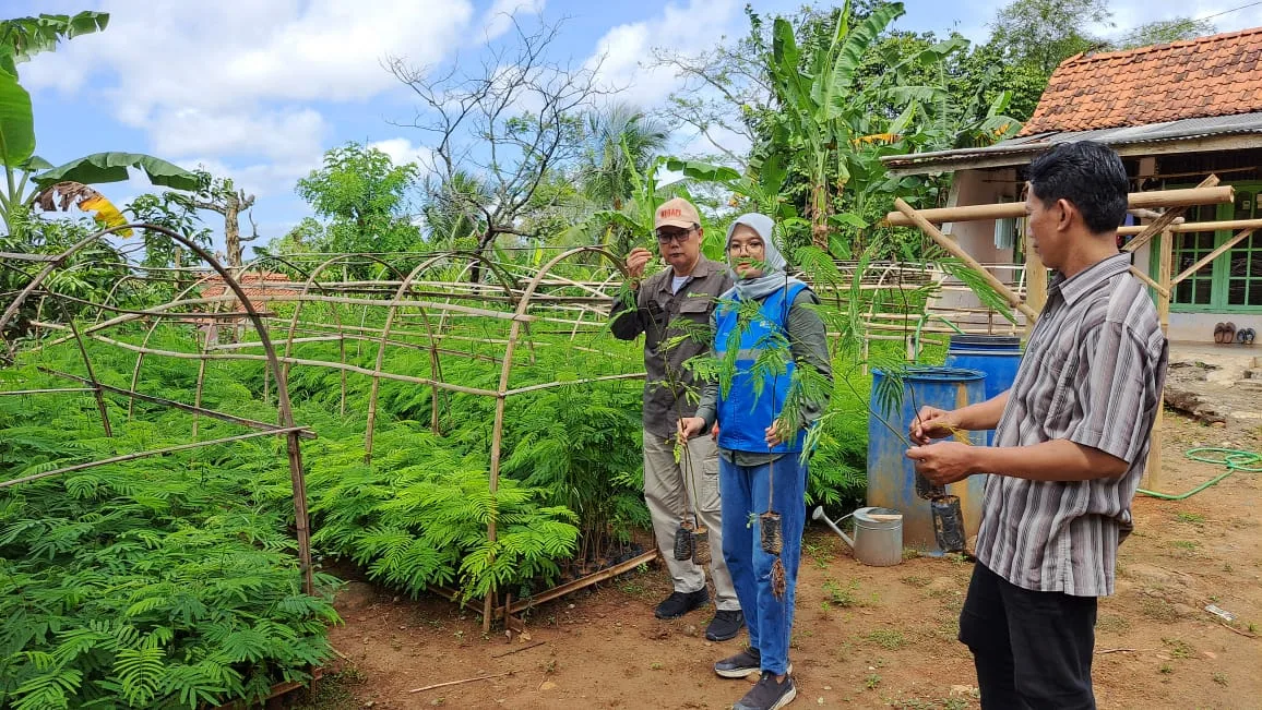 IMG 20250520 WA0003 Desa Keleng Cilacap Jadi Contoh Pengembangan Biomassa Melalui Tanaman Energi Kaliandra dan Gamal