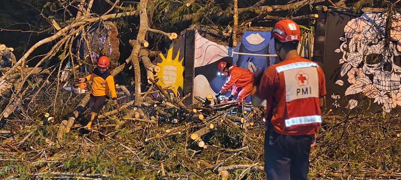 IMG 20250522 WA0009 Pohon Tumbang, Akses Jalan Wisata Serulingmas Sempat Tertutup