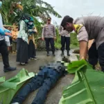 IMG 20250522 WA0024 Penemuan Mayat Pria di Jalan Lingkar Selatan Cilacap Gegerkan Warga