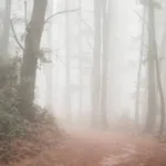 IMG 20250528 WA0000 Fenomena Munculnya Kabut Tebal di Akhir Zaman, Apa yang Akan Menimpa Umat Islam?