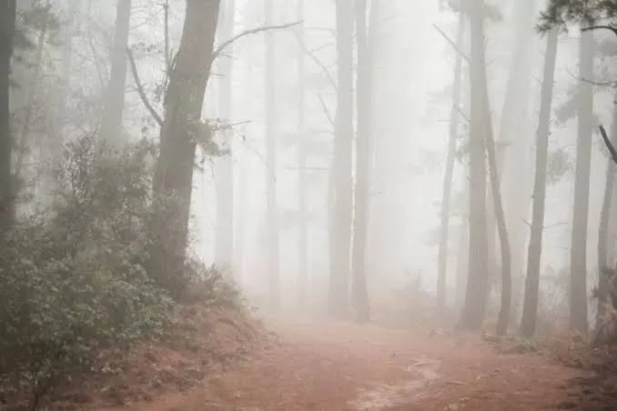 IMG 20250528 WA0000 Fenomena Munculnya Kabut Tebal di Akhir Zaman, Apa yang Akan Menimpa Umat Islam?
