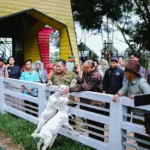 IMG 20250528 WA0008 Provit Farm Village, Wisata Edukatif Bernuansa Alam Resmi Hadir di Banyumas