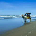 IMG 20250523 082612 Pantai Indah Widarapayung, Surga Tersembunyi di Pesisir Selatan Cilacap
