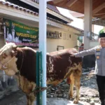 IMG 20250604 WA0005 Kapolresta Cilacap Serahkan Sapi Kurban Jumbo 700 Kg untuk Masjid Agung Darussalam