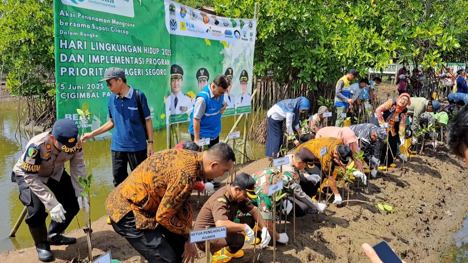 IMG 20250605 WA0012 Cilacap Punya Jurus Lawan Abrasi! Ribuan Mangrove Jadi Senjata Rahasia