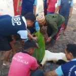 IMG 20250606 WA0004 Iduladha di Balik Jeruji: Rebutan Torpedo Kambing Warnai Perayaan di Lapas Cilacap