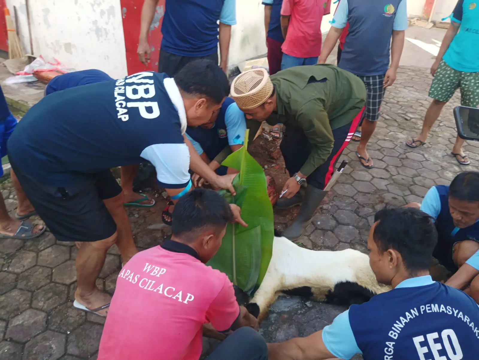 IMG 20250606 WA0004 Iduladha di Balik Jeruji: Rebutan Torpedo Kambing Warnai Perayaan di Lapas Cilacap