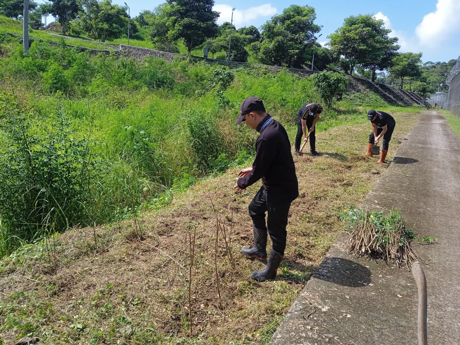 img 20250616 wa0005 Bangun Ketahanan Pangan di Balik Jeruji Besi, Lapas Karanganyar Tanam 120 Bibit Katuk