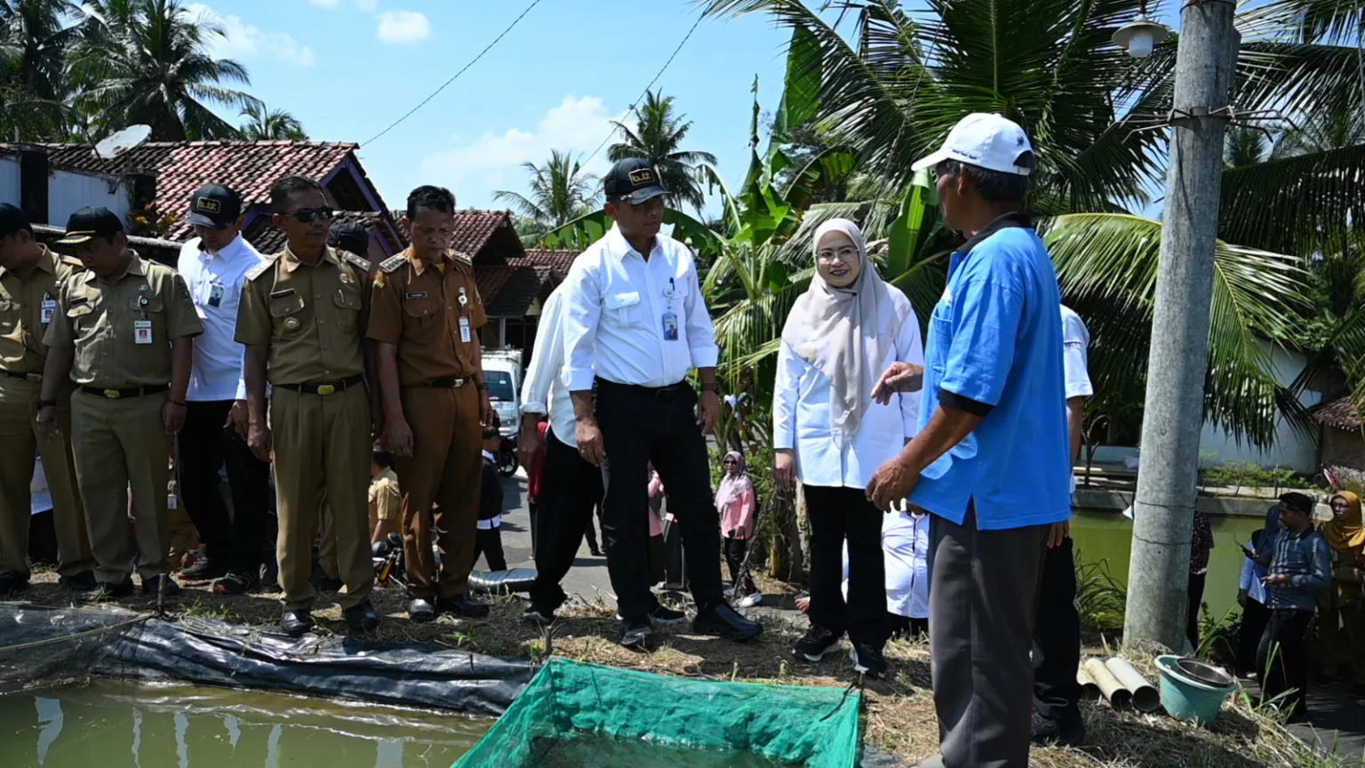 img 20250724 wa0004 Benih Nila Sakti Mulai Dikembangkan di Banjarnegara, Dukung Revitalisasi Pantura