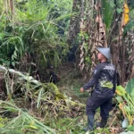 img 20250813 wa0031 Lapas Karanganyar Siapkan Lahan untuk Ratusan Bibit Kelapa