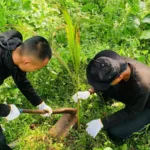 img 20250815 wa0002 Dukung Ketahanan Pangan, Lapas Nirbaya Mulai Tanam Ratusan Tunas Pohon Kelapa