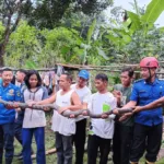 whatsapp image 2025 08 12 at 14.01.27 Kobra Sepanjang 3 Meter Hebohkan Warga, Damkar Turun Tangan