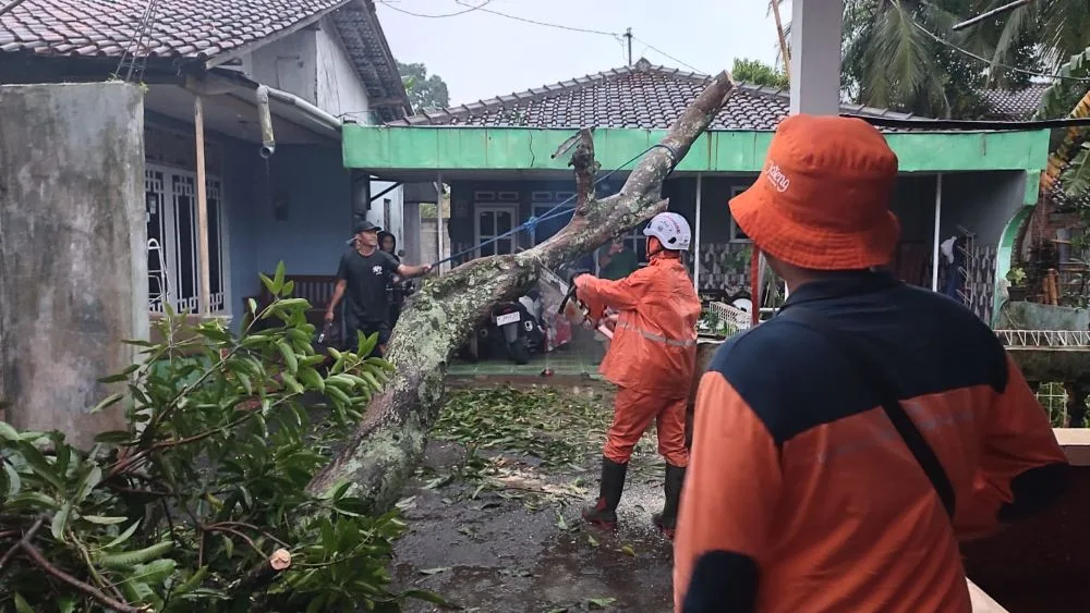 img 20251021 wa0012 Hujan dan Angin di Purbalingga Akibatkan Longsor dan Pohon Tumbang