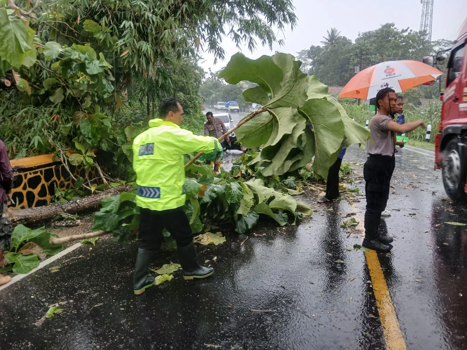 img 20251025 wa0003 Hujan Deras Sebabkan Pohon Tumbang di Jeruklegi, Polisi dan Warga Bergerak Cepat Evakuasi