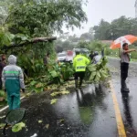 img 20251025 wa0004 Hujan Deras Sebabkan Pohon Tumbang di Jeruklegi, Polisi dan Warga Bergerak Cepat Evakuasi