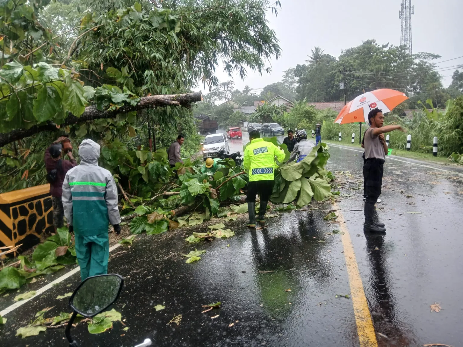 img 20251025 wa0004 Hujan Deras Sebabkan Pohon Tumbang di Jeruklegi, Polisi dan Warga Bergerak Cepat Evakuasi