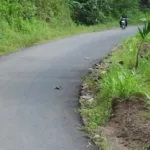 jalan2 Dulu Parah, Kini Jalan di Sadang Kebumen Jadi Mulus
