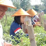 sb Wamen Veronica: Pola Serayu Network Bisa Jadi Contoh Nasional