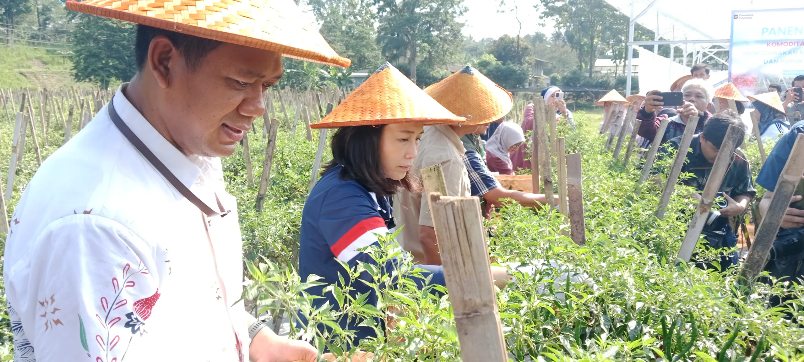 sb scaled Wamen Veronica: Pola Serayu Network Bisa Jadi Contoh Nasional