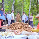 whatsapp image 2025 10 01 at 15.01.31 Banjarnegara, Pringsewu Jajaki Kerja Sama Pengembangan Mocaf