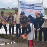 Benih Inpago Unsoed Protani