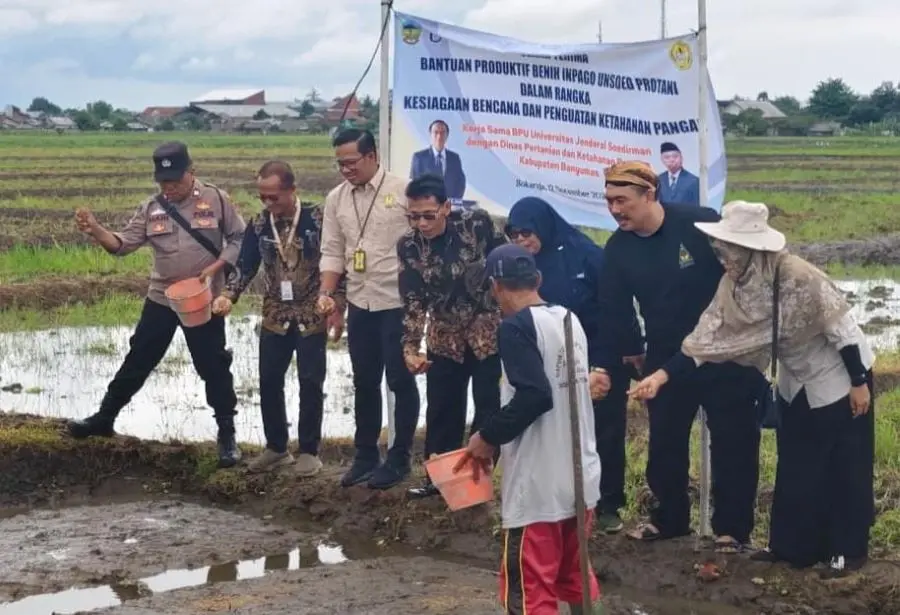 Benih Inpago Unsoed Protani