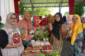 cabai Peningkatan Harga Emas dan Bahan Pangan Dorong Kenaikan Inflasi Banyumas Raya