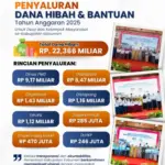 Dana hibah dan bantuan