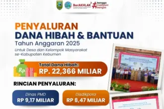 Dana hibah dan bantuan