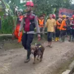 longsor 2 Hari ke-3! 9 Anjing Pelacak & 9 Alat Berat Dikerahkan Cari 20 Korban Longsor Majenang