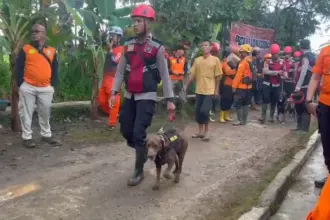 longsor 2 Hari ke-3! 9 Anjing Pelacak & 9 Alat Berat Dikerahkan Cari 20 Korban Longsor Majenang