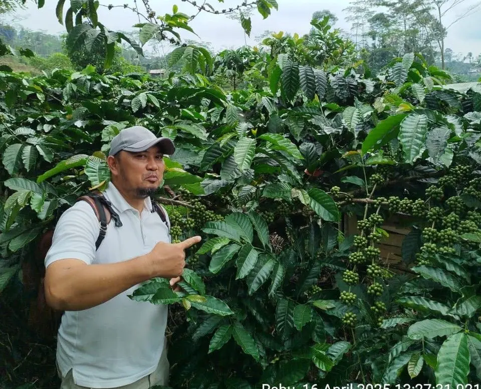 Profesi Petani Kopi Dilirik anak muda Purbalingga