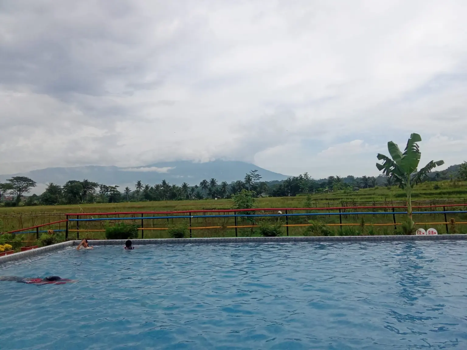 renang suasana perdesaan