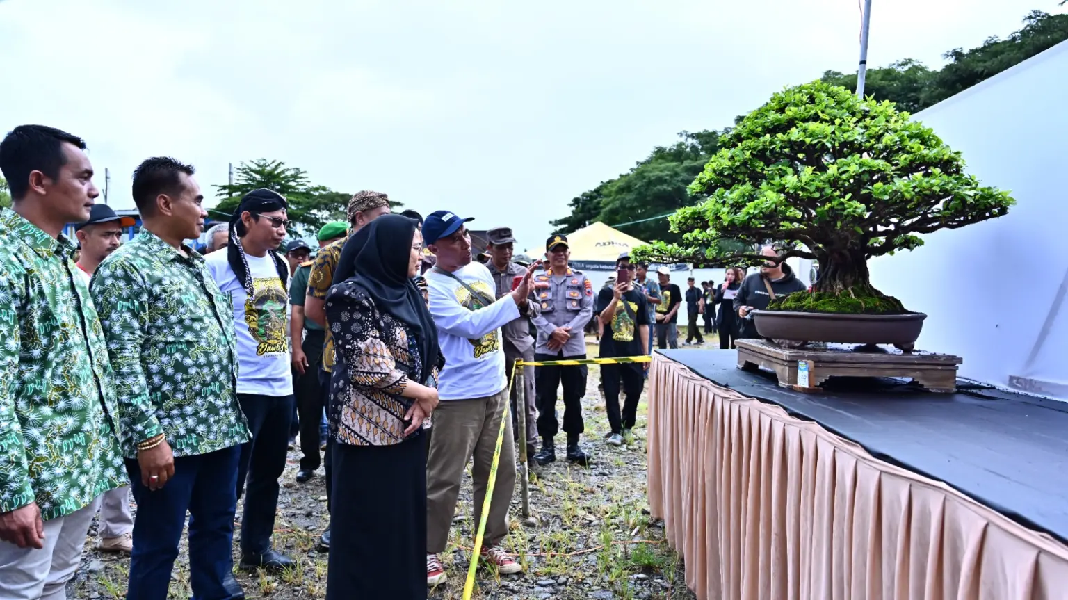 Pameran bonsai