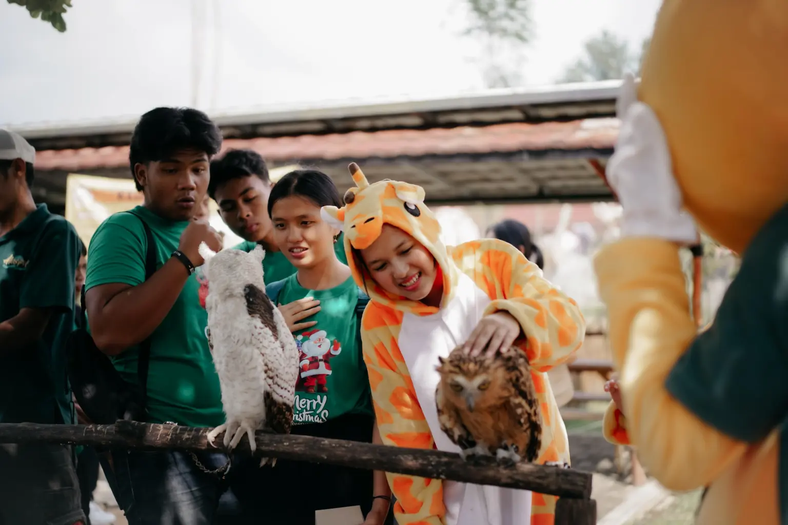 Puluhan anak dari Panti Asuhan Siloam Purwokerto menjelajah alam Alas Pitu hingga menikmati jamuan makan malam mewah di Luminor Hotel Purwokerto, Selasa (23/12/2025). (dok: Luminor)