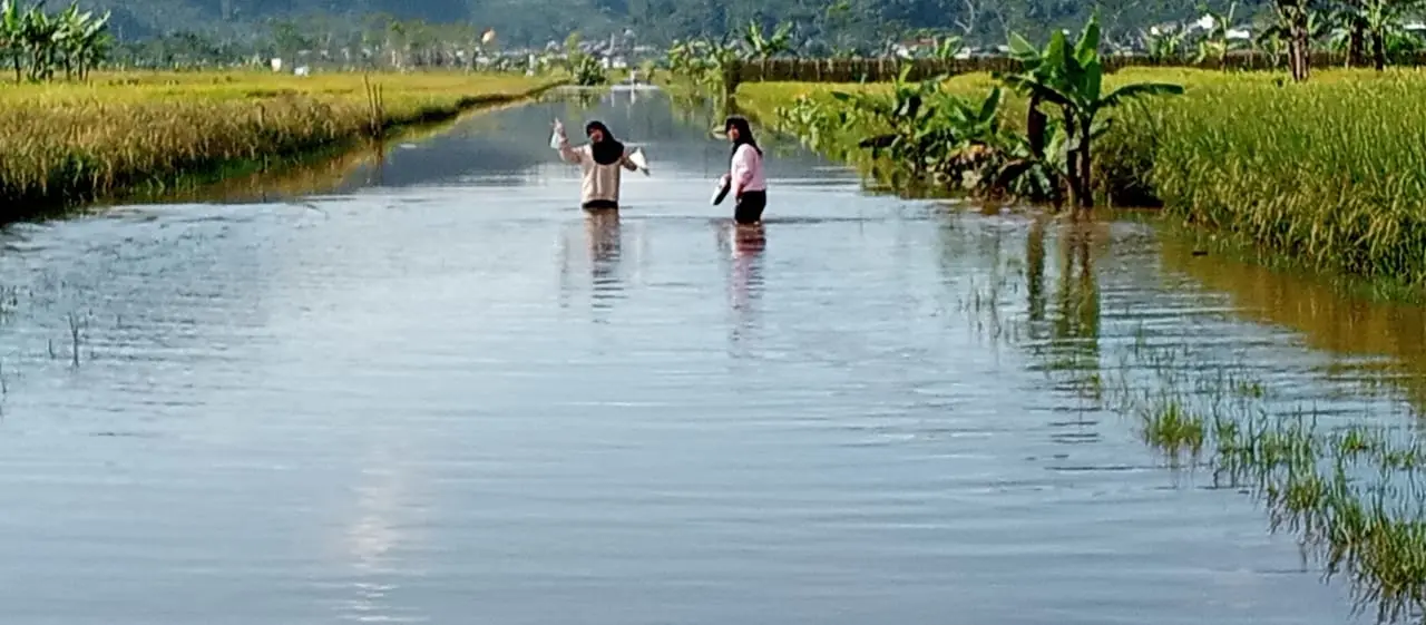 Luapan sungai langit Kalibening banjarnegara
