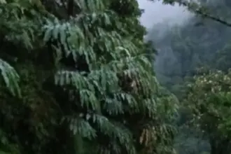 Hujan deras sebabkan longsor