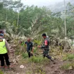 Rekahan Tanah kalibombong