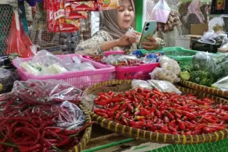 Harga Cabai