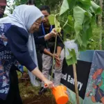 Tanam pohon di literasi konservasi