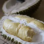 durian