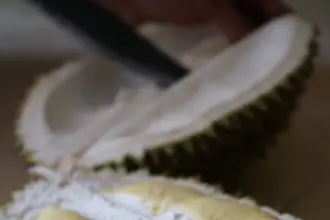 durian