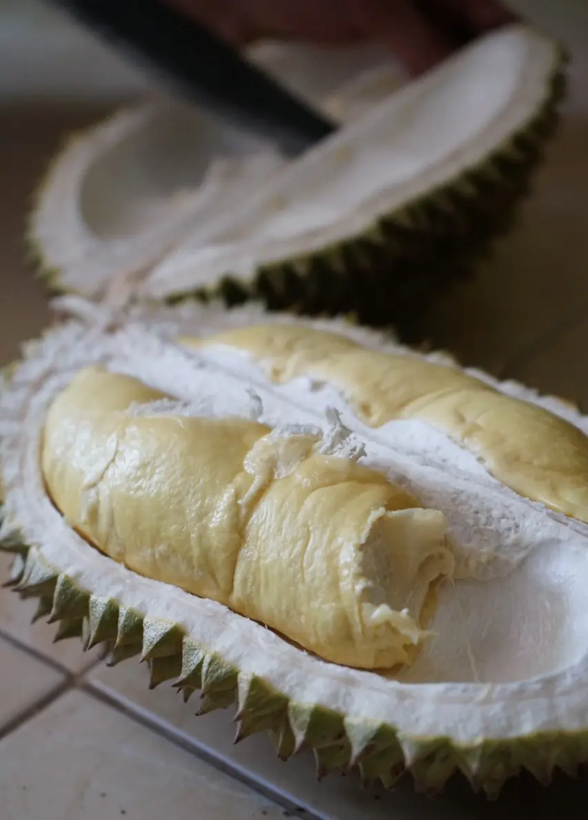 durian