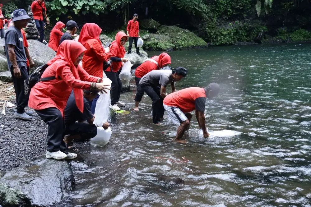 dpc pdip purbalingga