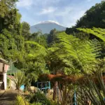 Curug Bayan Baturraden