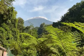 Curug Bayan Baturraden